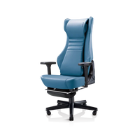 uErgoh Ergonomic Chair